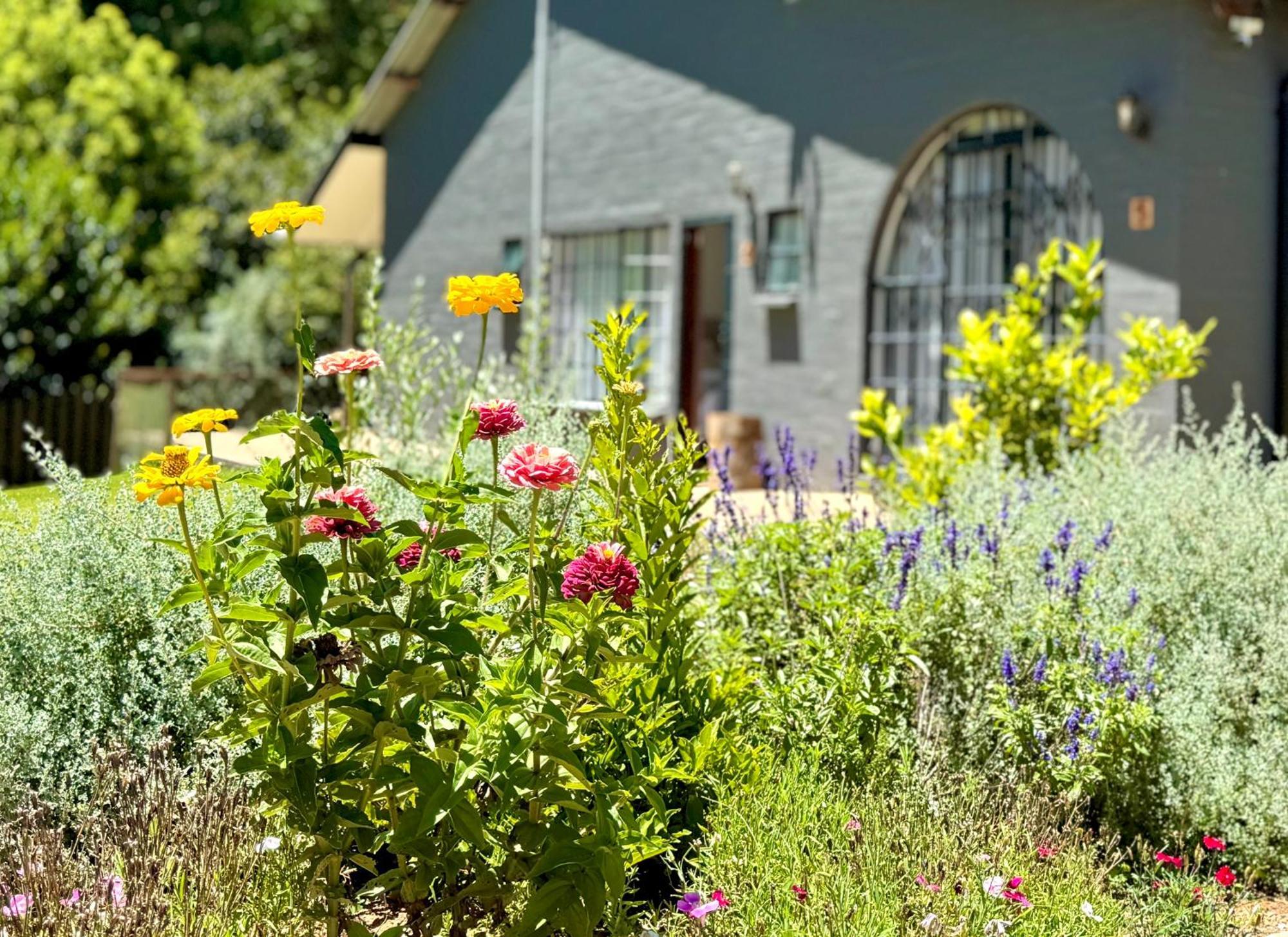 Fiddler'S Green Magoebaskloof Exterior foto